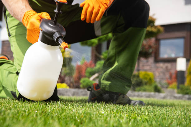 Best Pest Control for Restaurants and Food Service  in Rosemead, CA